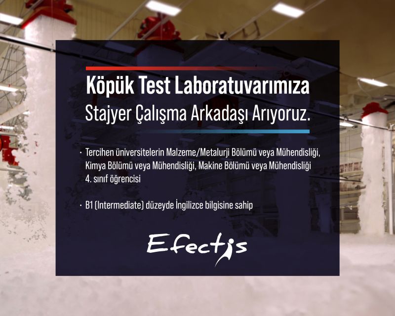 Efectis Era Avrasya - Stajyer