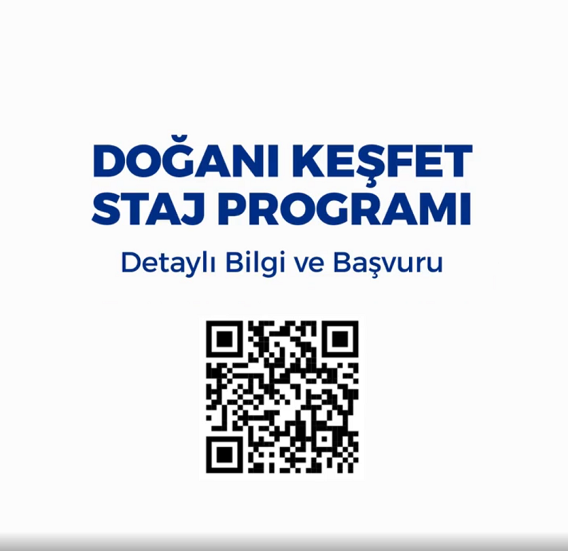 Doğan Holding-Doğanı Keşfet Staj Programı