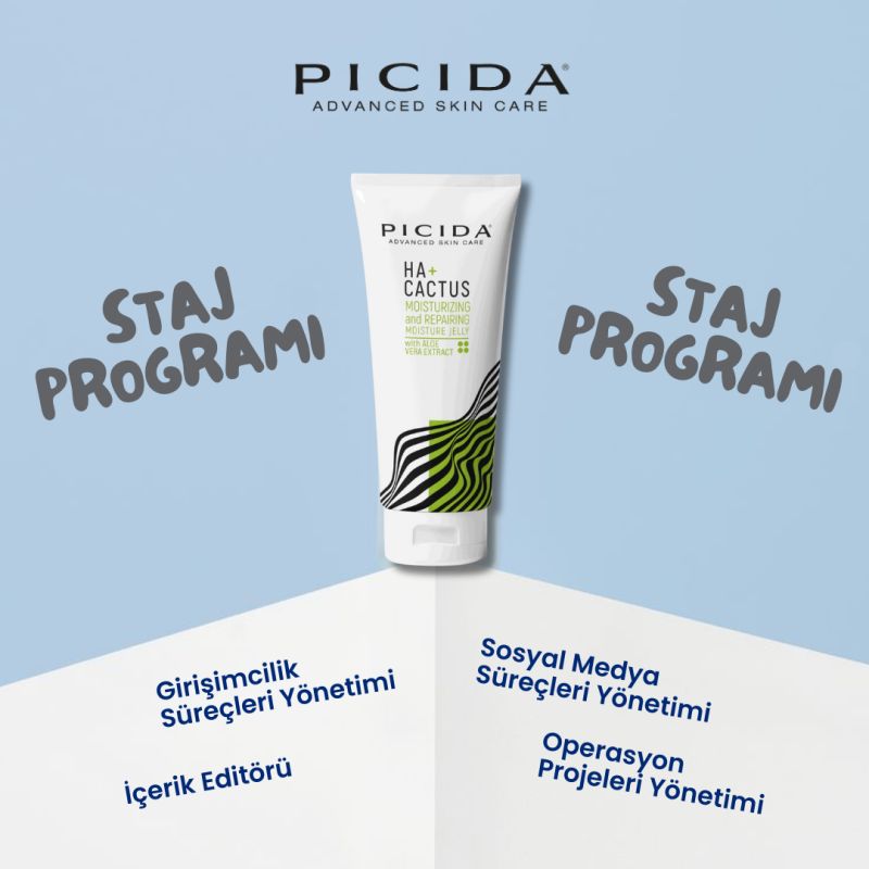 Picida - Staj Programı