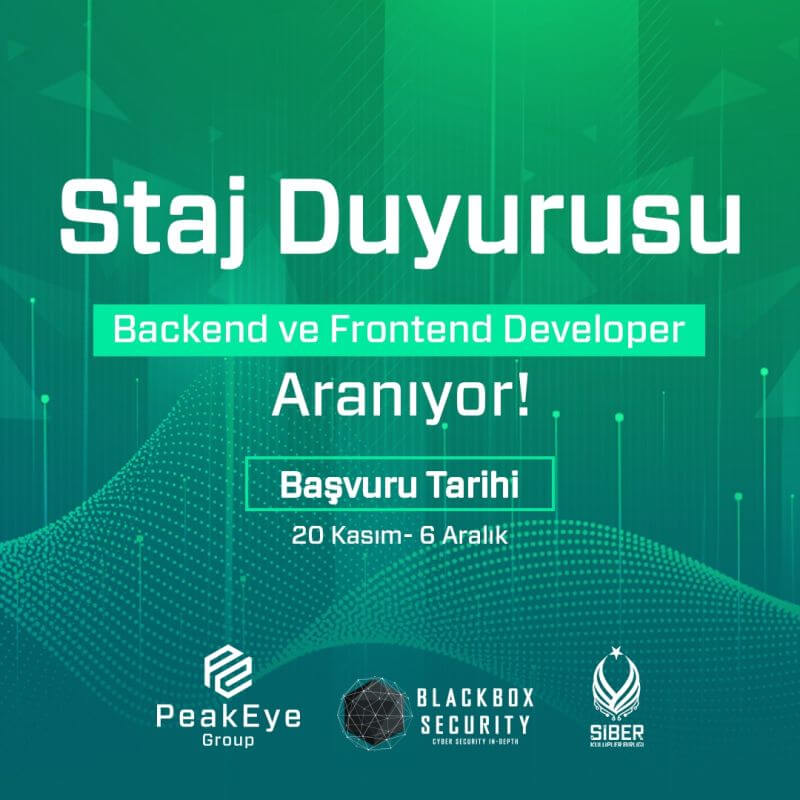 PeakEye Group-Backend ve Frontend Developer Staj İlanı